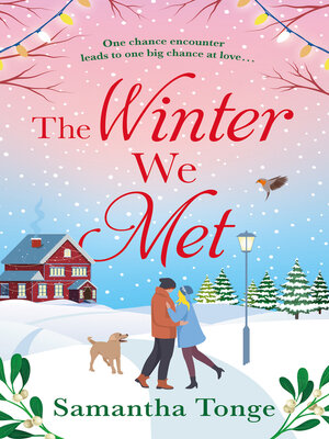 cover image of The Winter We Met